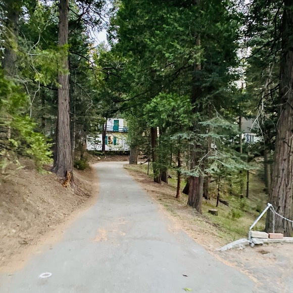 Meet your Posher, Ernesto - Picture 1 of 1